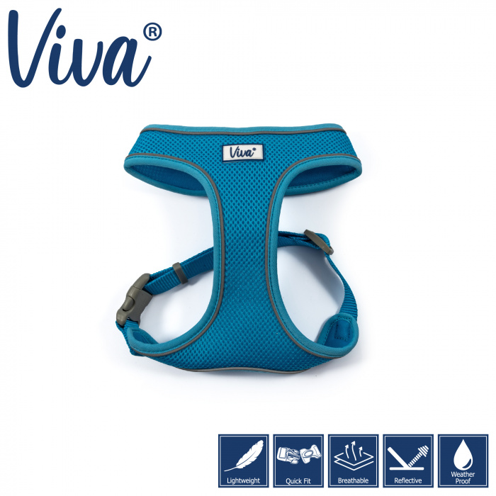 Ancol Viva Comfort Harness - Blue Main Image