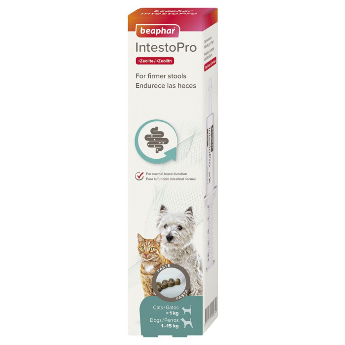 Beaphar IntestoPro Stool Firming Paste for Small Dogs & Cats 20ml Main Image