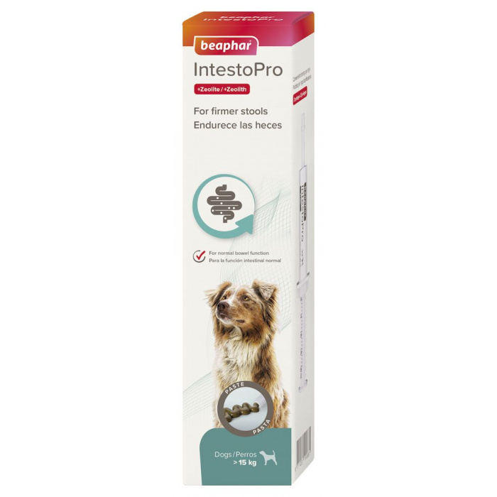 Beaphar IntestoPro Stool Firming Paste for Dogs 20ml Main Image