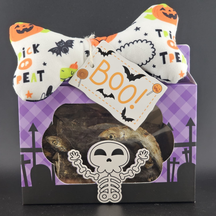 Halloween Doggy Treat Box Main Image