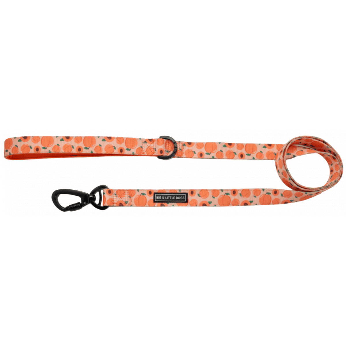 Dog Leash - Just Peachy Product Image