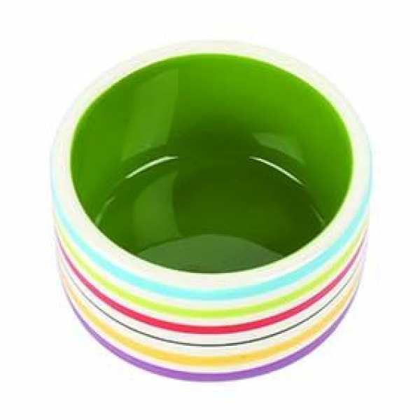 Rainbow Bowl – Pawfect Supplies Ltd Product Image