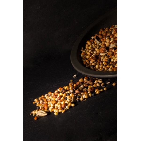 Wild Bird – Feeder Seed Mix – Pawfect Supplies Ltd Product Image
