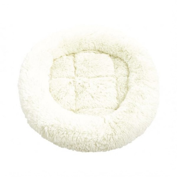 Adjustable Collar – Bee Kind – Pawfect Supplies Ltd Product Image