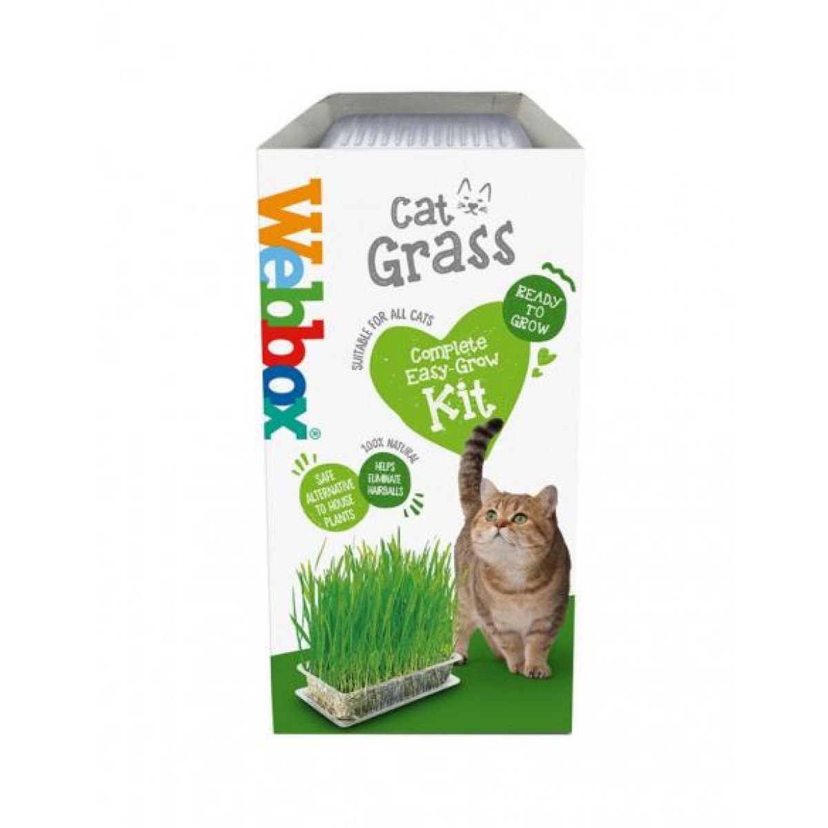 Webbox Cat Grass Main Image