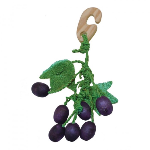 Critter’s Choice Berry Nibbler’s – Grape – Pawfect Supplies Ltd Product Image