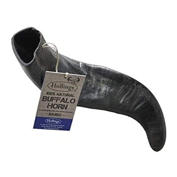 Buffalo Horn - Jumbo Product Image
