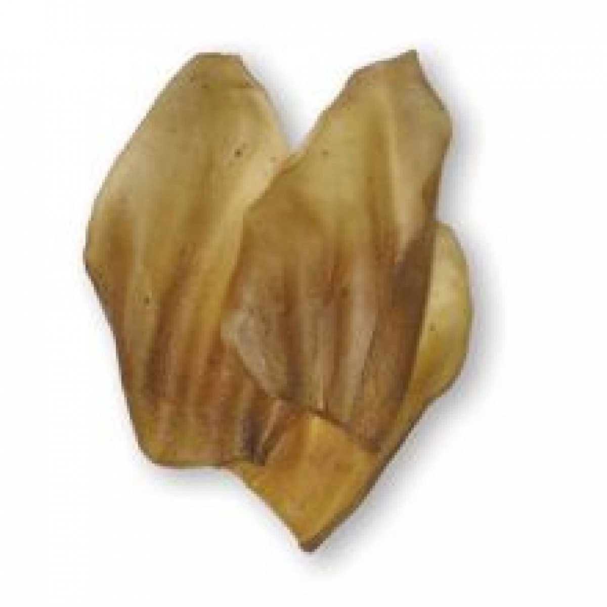 Cow Ear – Pawfect Supplies Ltd Product Image