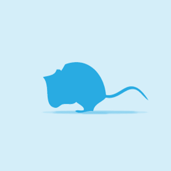 Medium Mice 15g – 20g – Pawfect Supplies Ltd Product Image