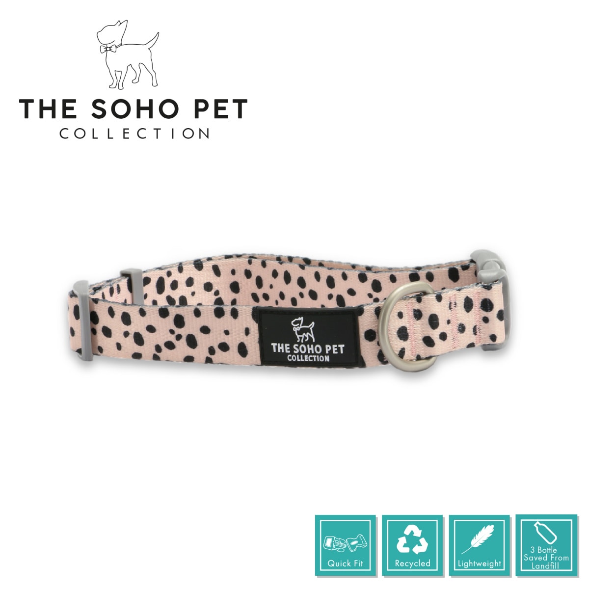 Soho Collection - Dalmatian Patterned Collar Main Image
