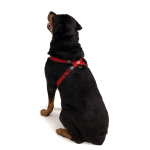 Ezydog Chest Plate Harness - Red - Image 4