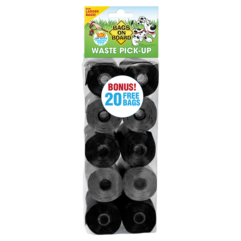 Home Main Main Image