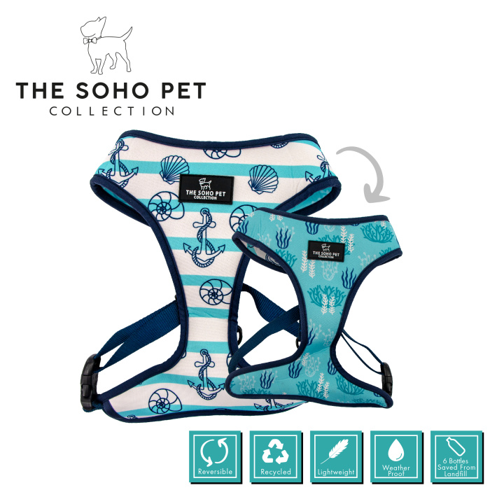 Soho Collection Harness - Nautical / Coral Main Image