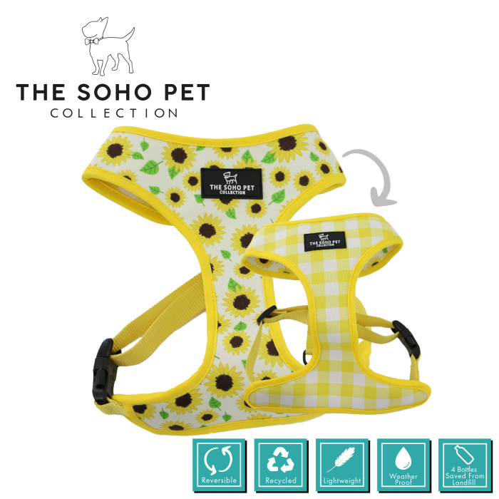 Soho Collection Harness - Sunflower / Yellow Check Main Image