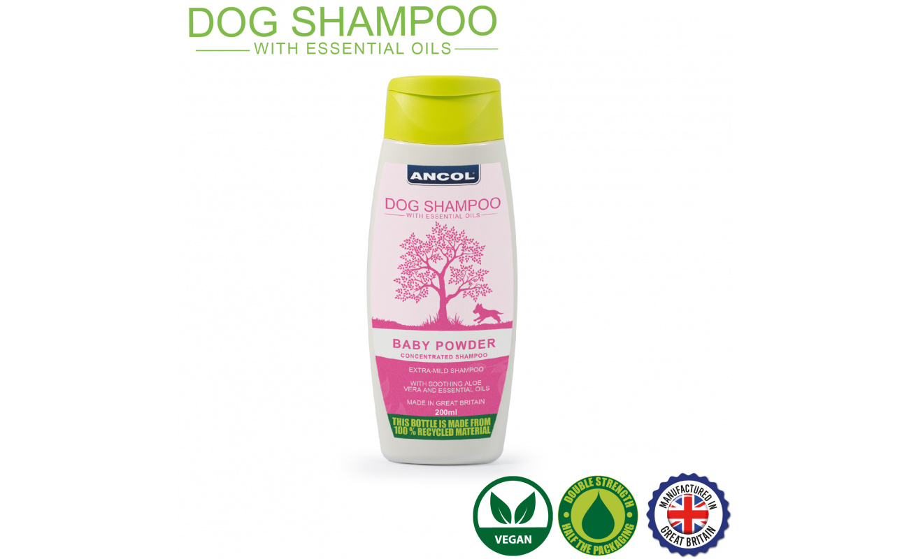 Creative water features and exterior Main Image