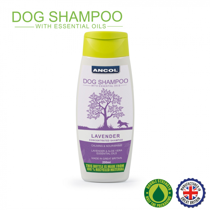 Ancol Dog Shampoo 200ml - Lavender Main Image