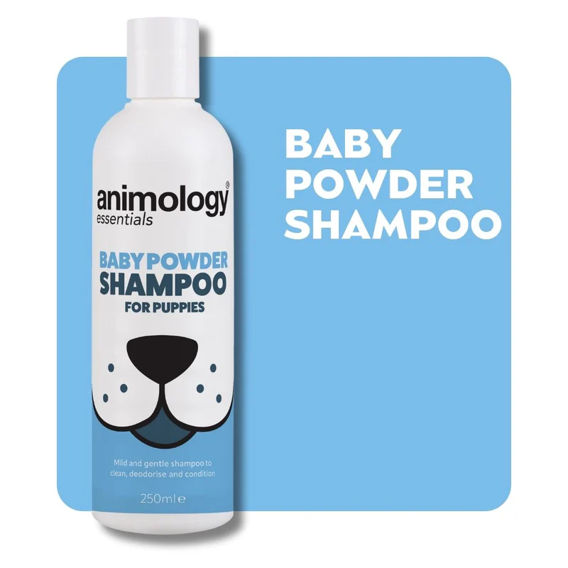 3_x800 Animology Essential - Baby Powder Shampoo 250ml - Image 1