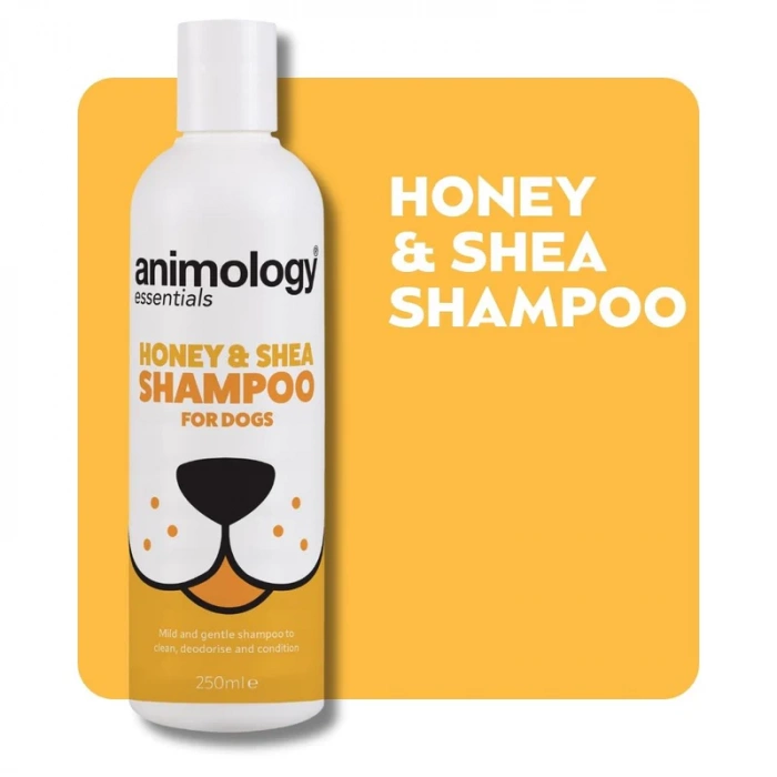 Animology Essential - Honey & Shea Shampoo 250ml Main Image