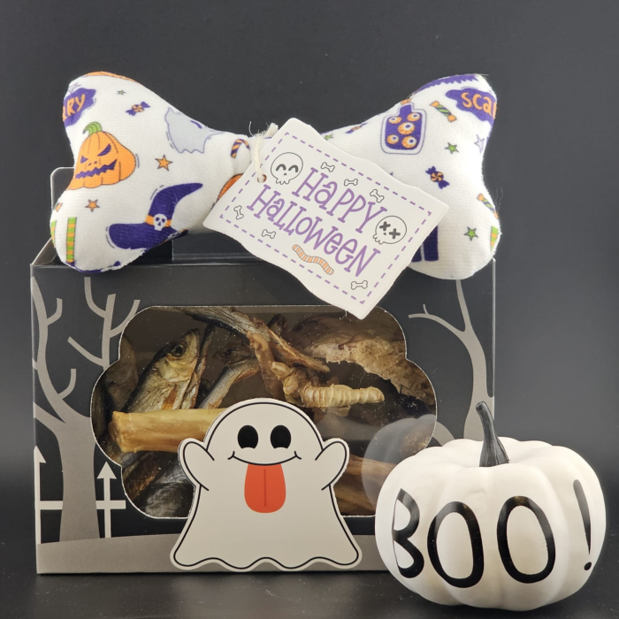 Halloween Doggy Treat Box Main Image