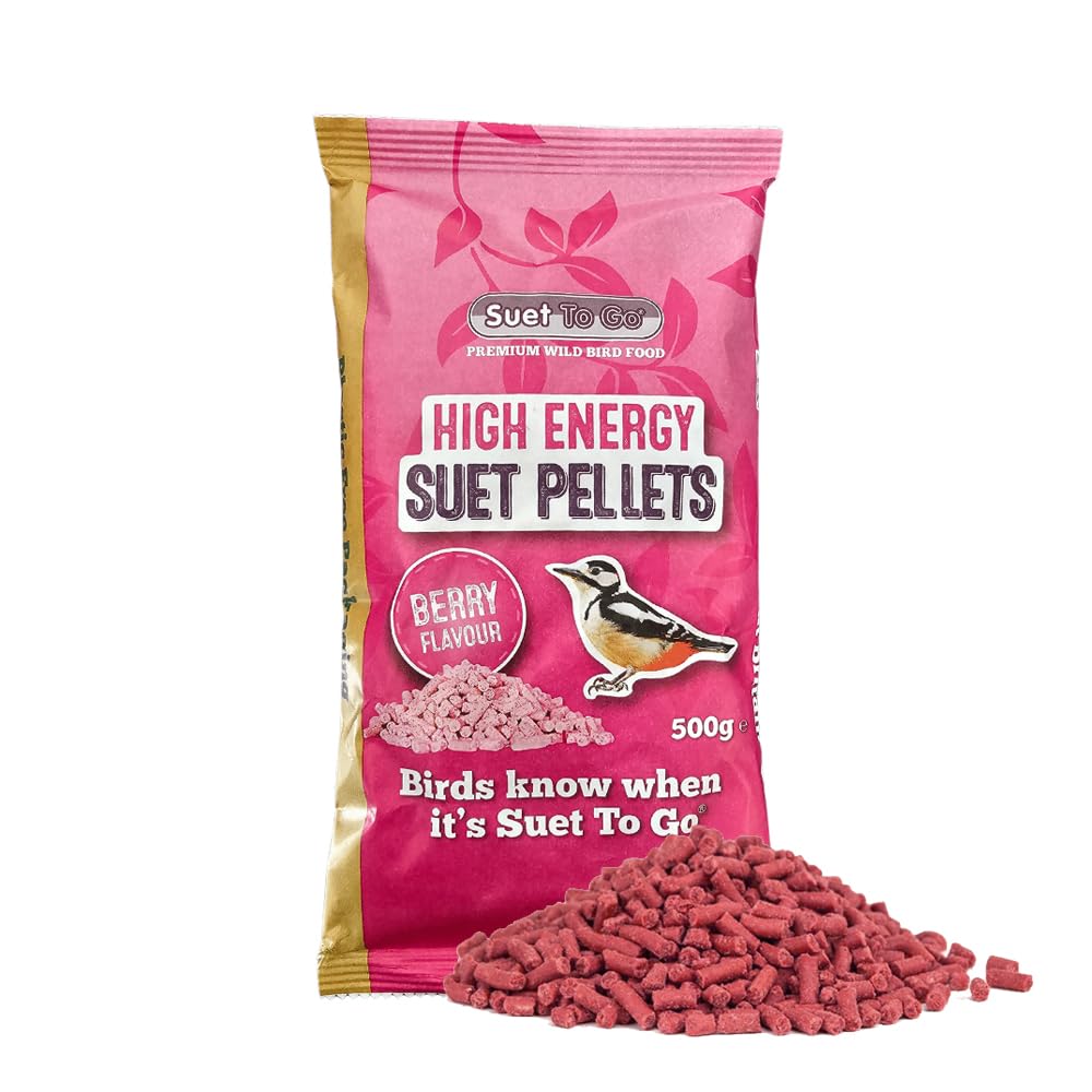 61XB0Vw+MAL Suet To Go High Energy Suet Pellets Berry 500g - Image 1