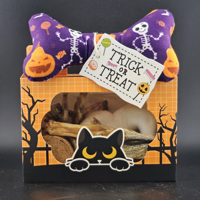 Halloween Doggy Treat Box Main Image