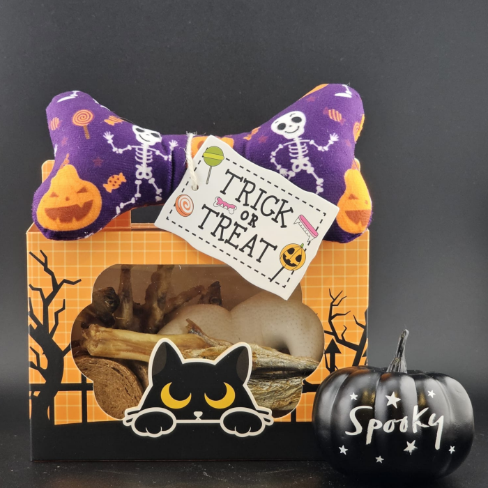 Halloween Doggy Treat Box Main Image