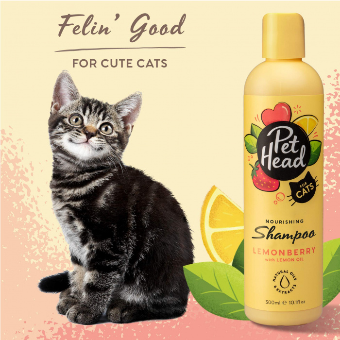 Pet Head - Felin Good Shampoo (Cats) - 300ml Main Image