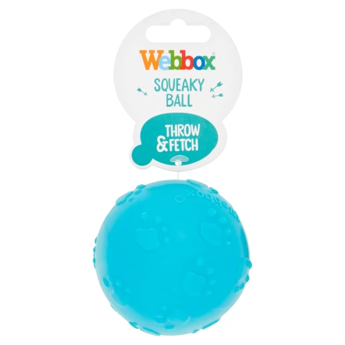 Webbox Squeaky Ball Main Image