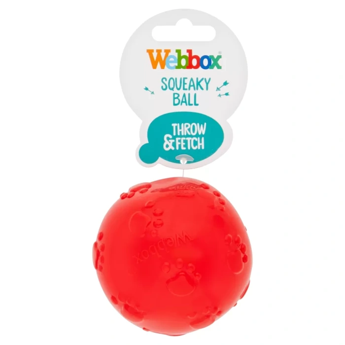 Webbox Squeaky Ball Main Image