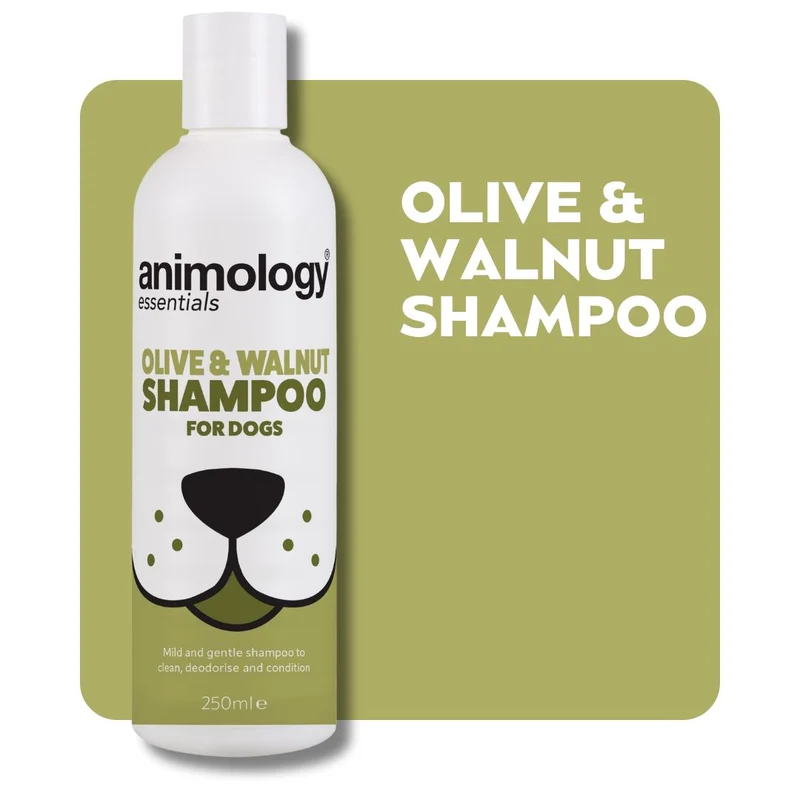 9_x800 Animology Essential - Olive & Walnut Shampoo 250ml - Image 1