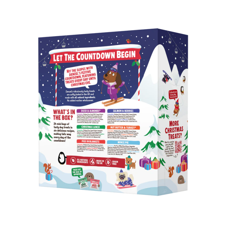 Home Main Main Image