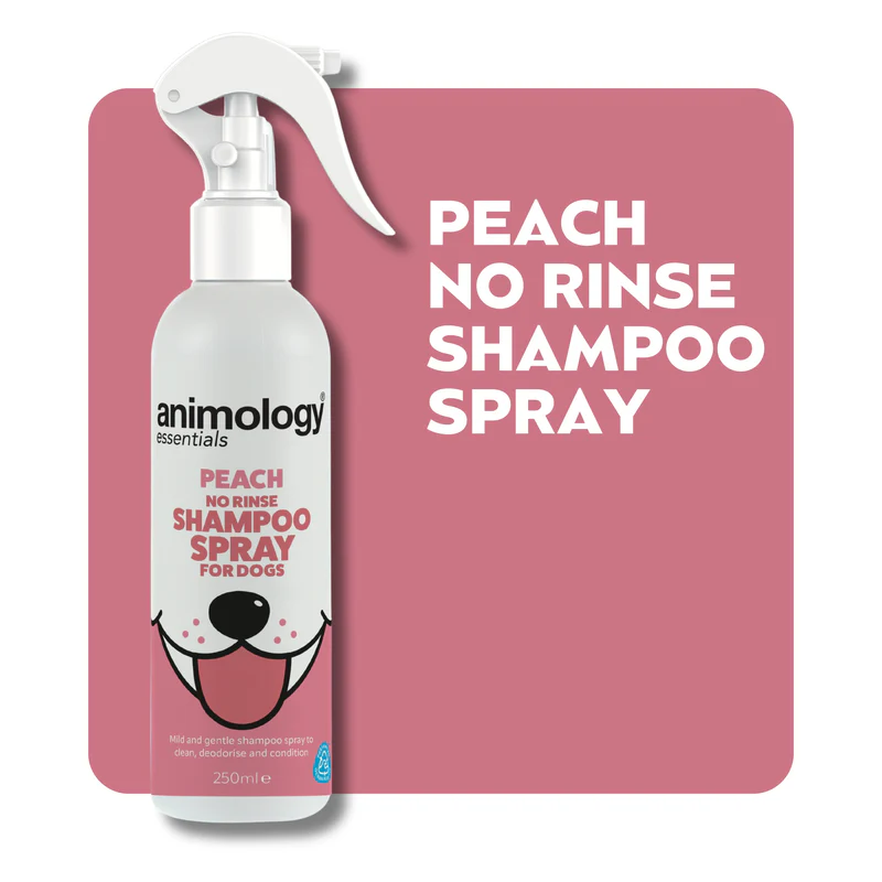 AnimologyEssentialsWebImages_1_x800 Animology Essential - Peach No Rinse Shampoo Spray 250ml - Image 1