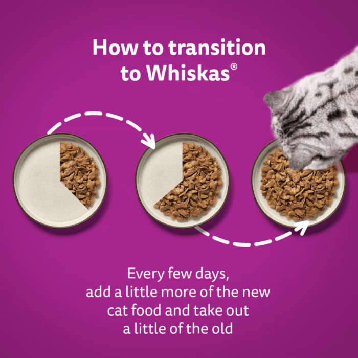 Whiskas Adult 1+ Mixed Menu in Jelly 12 x 85g Main Image