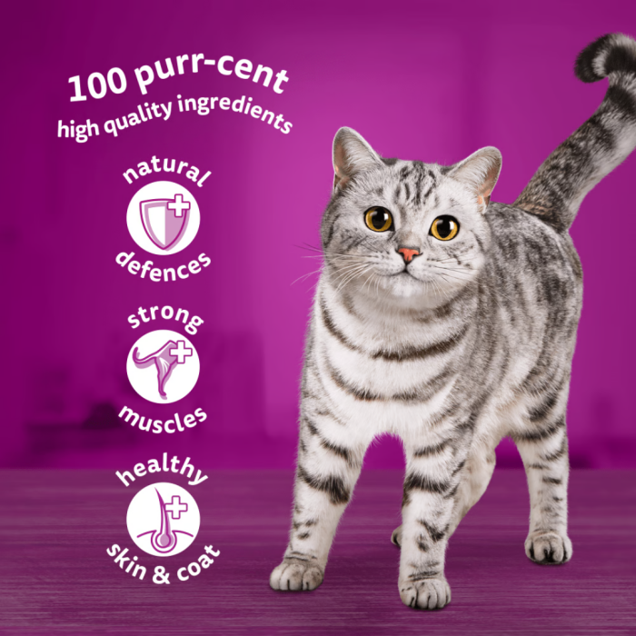 Whiskas Adult 1+ Mixed Menu in Jelly 12 x 85g Main Image