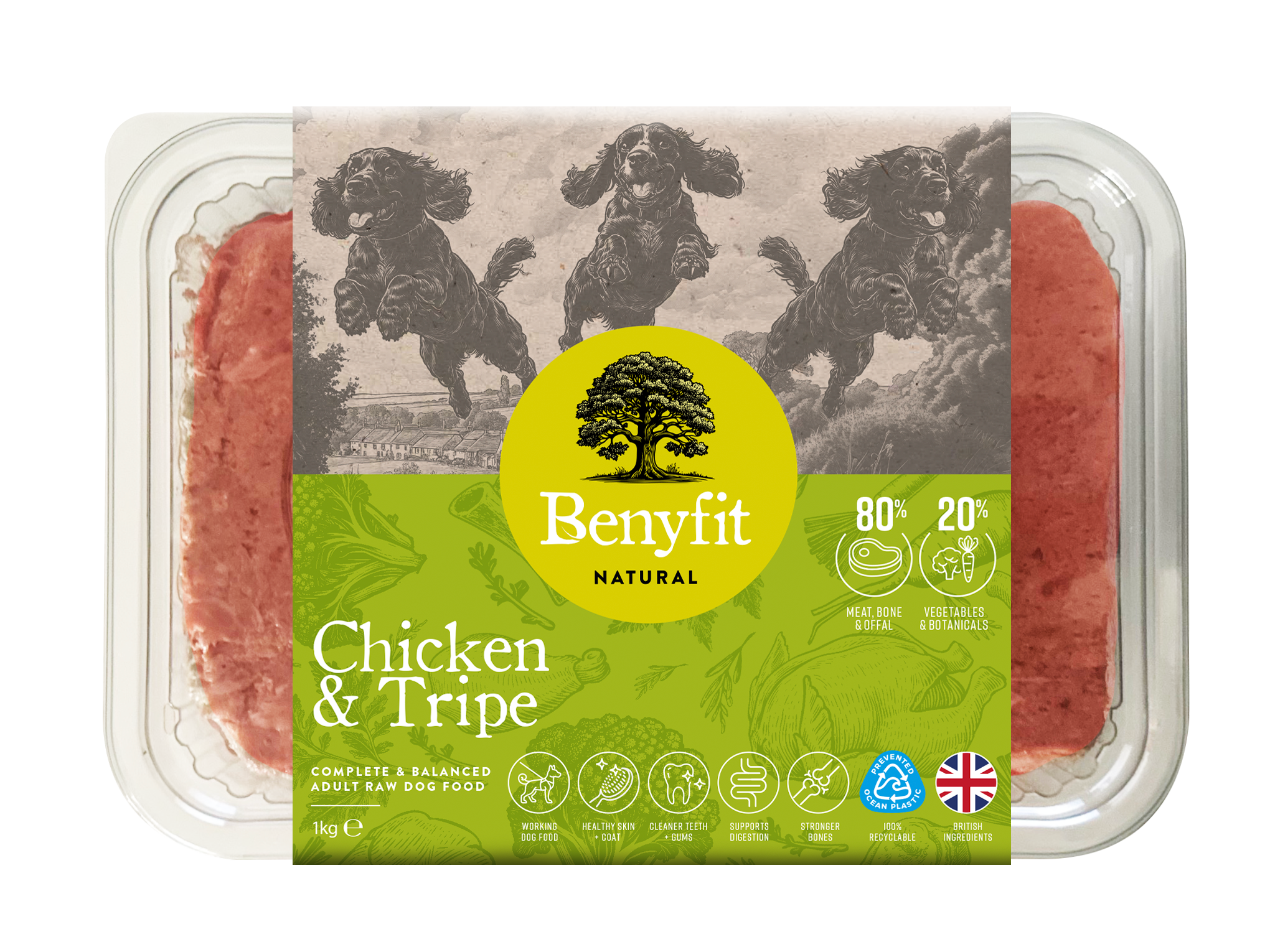 Benyfit-Natural-Tub-Render-Chicken-&-Tripe-1kg Benyfit Natural Complete 1kg - Chicken & Tripe - Image 1