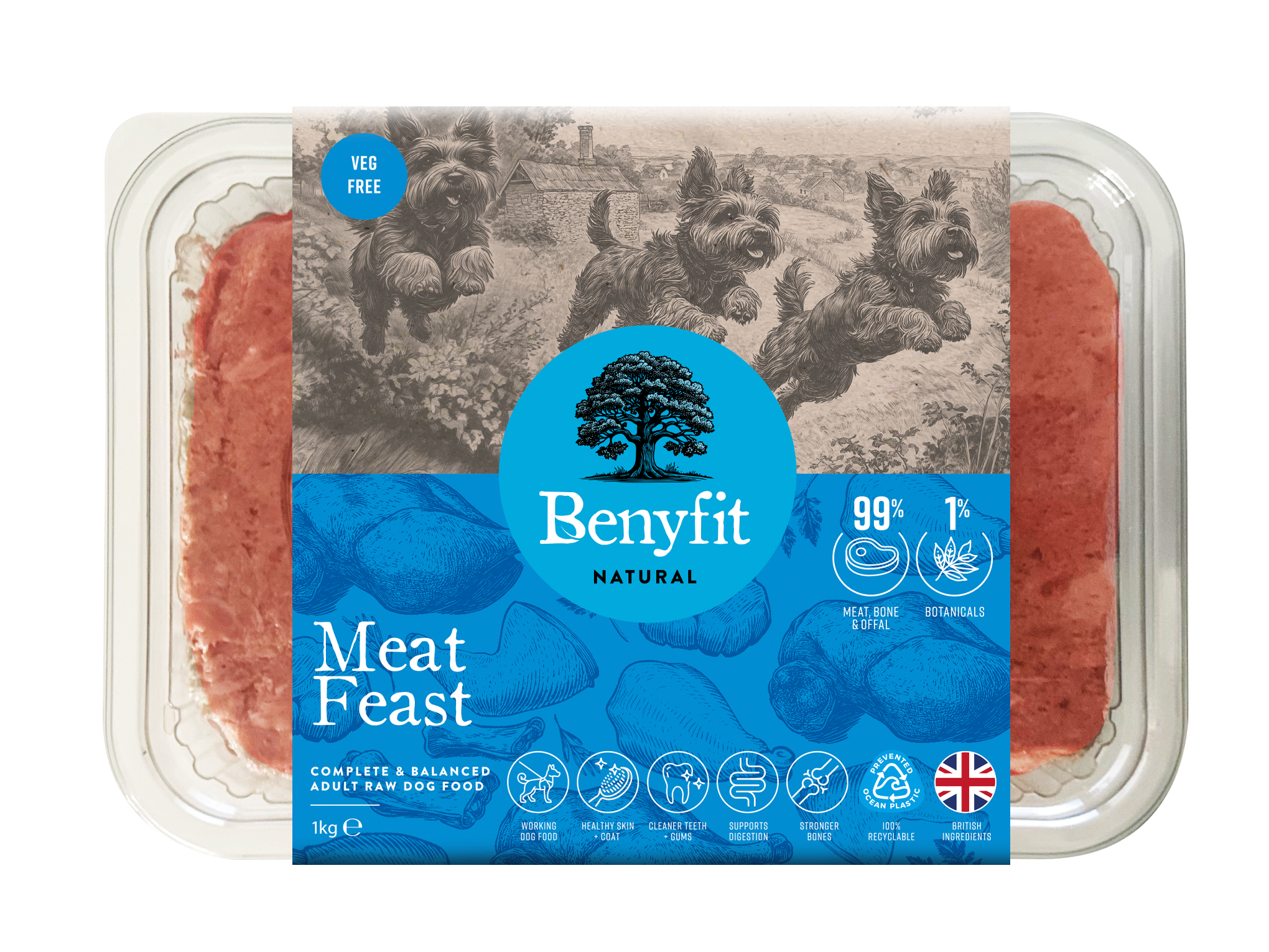 Benyfit-Natural-Tub-Render-Meat-Feast-1kg Benyfit Natural Complete 1kg - Meat Feast - Image 1