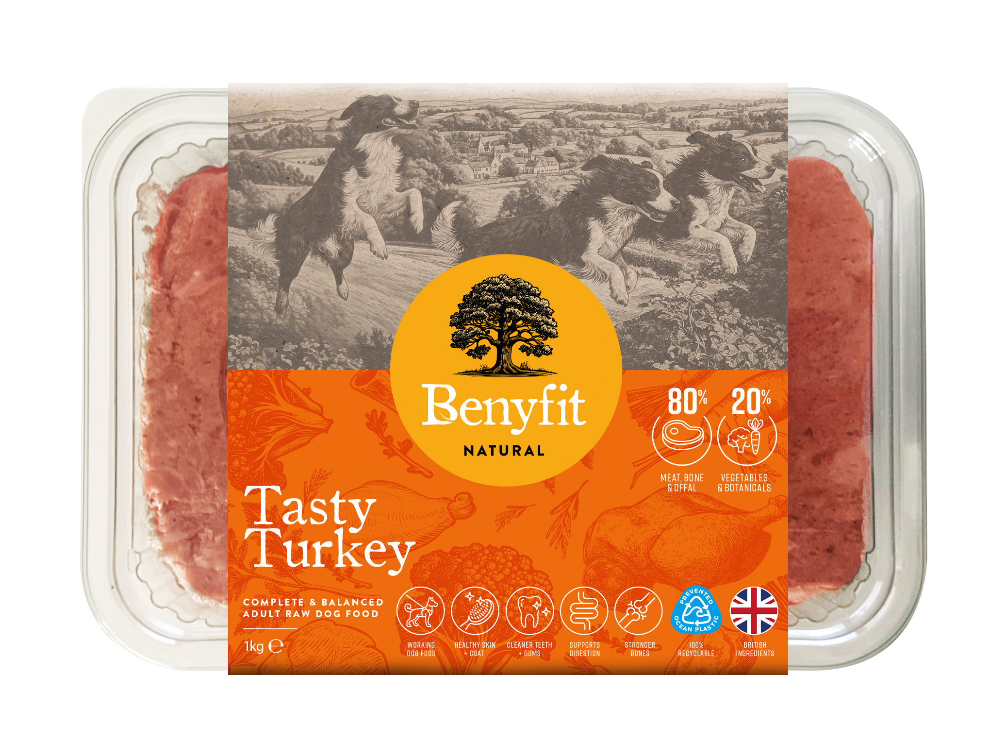 Benyfit-Natural-Tub-Render-Tasty-Turkey-1kg Benyfit Natural Complete 1kg - Tasty Turkey - Image 1