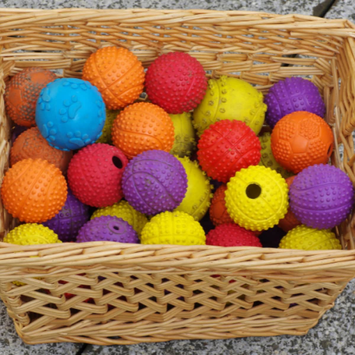 Assorted Dog Balls Main Image