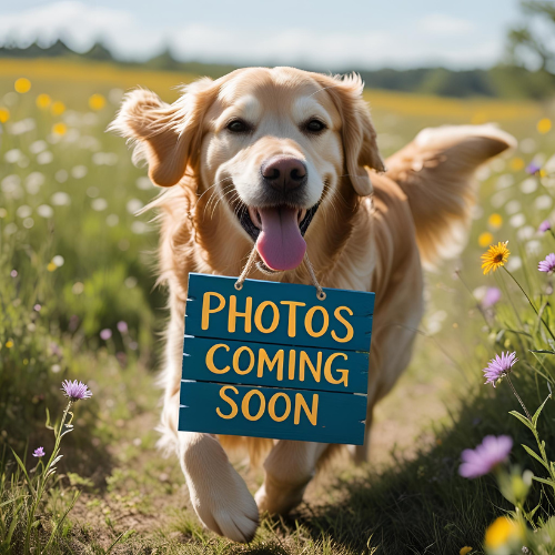 Coming Soon Dog Veggie Bites - Antlers - Image 1