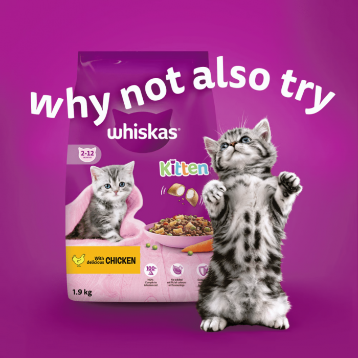 Whiskas Kitten 2-12 Months Poultry Feasts in Jelly 12 x 85g Main Image