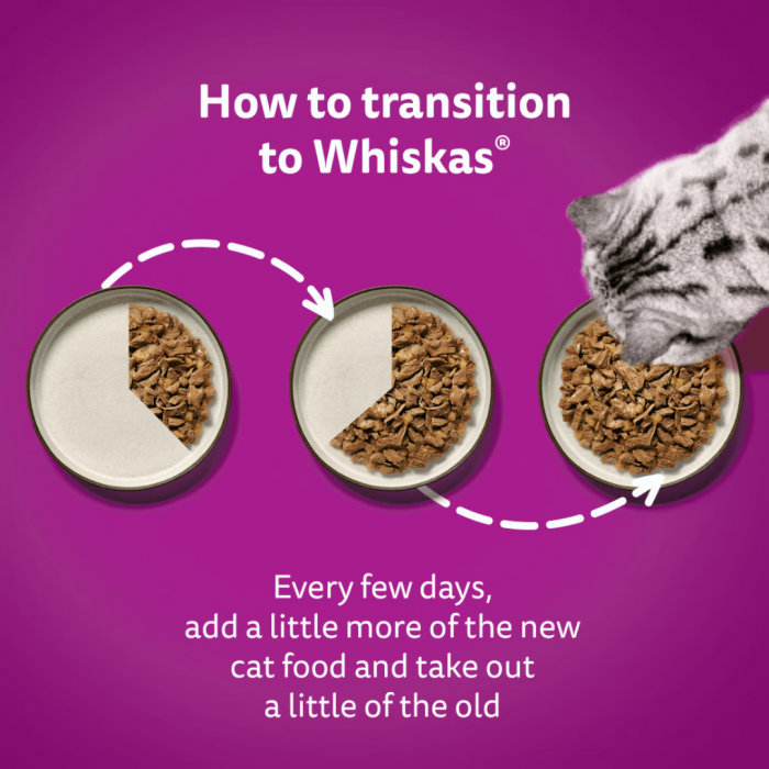 Whiskas Meaty Meals in Jelly 1+ Adult 12 x 85g Main Image