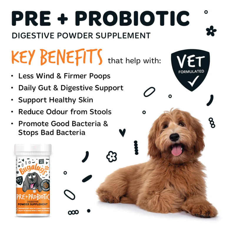 Home Main Main Image