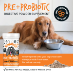 Bugalugs Pre & Probiotic Digestive Supplement Powder 80g - Image 3