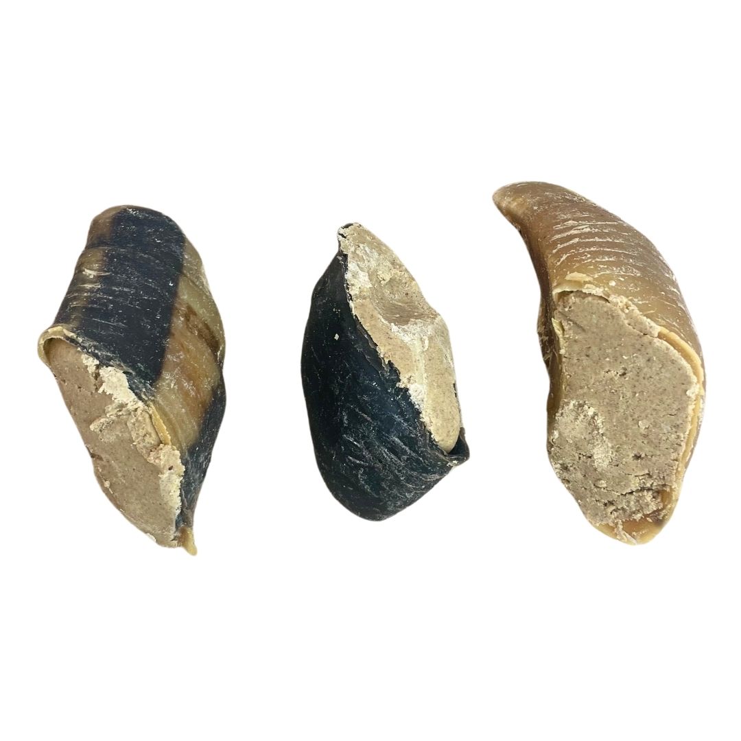 Filled-Hooves-5 Hooves - Filled - Image 1