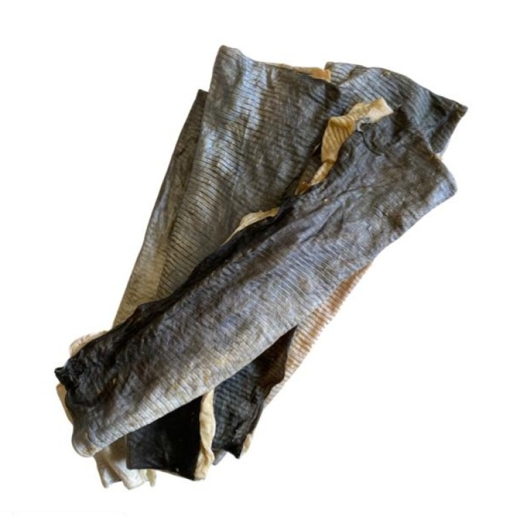 Home Main Main Image