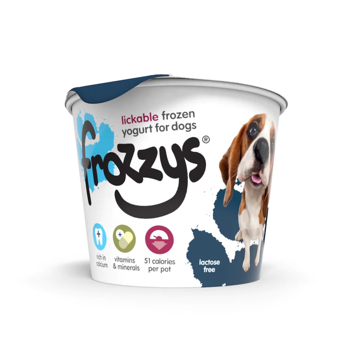 Frozzys Frozen Yogurt - Blueberry Main Image