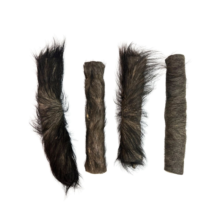 Home Main Main Image