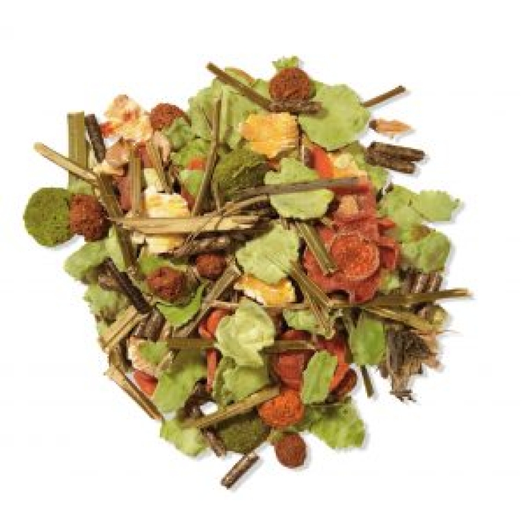 Home Main Main Image