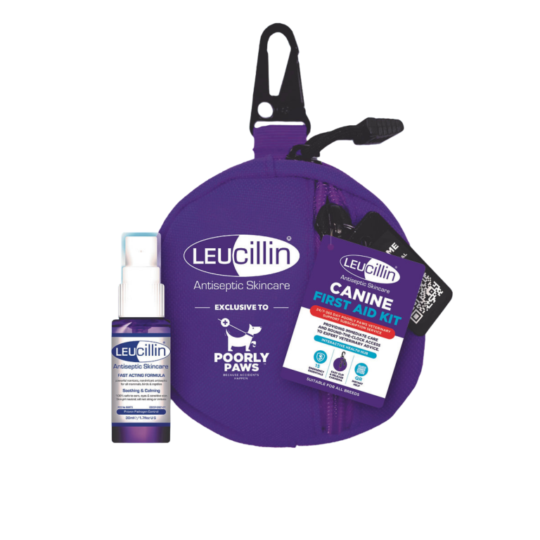 Home Main Main Image