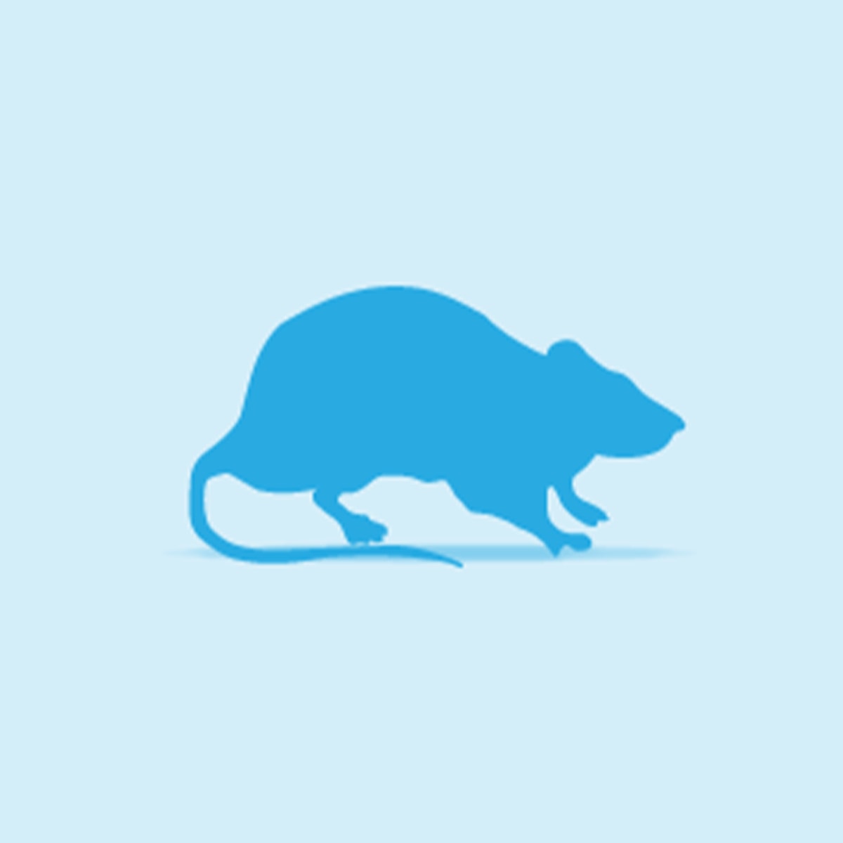 Monkfield Rat Weaner (20-25g) x 10 Main Image